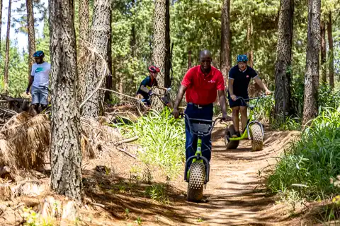 Graskop Gorge Lift Company - Activities Nearby