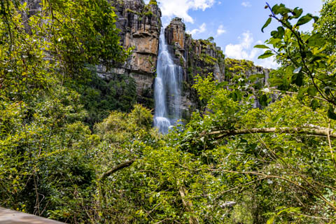 Graskop Gorge Lift Company - The Forest