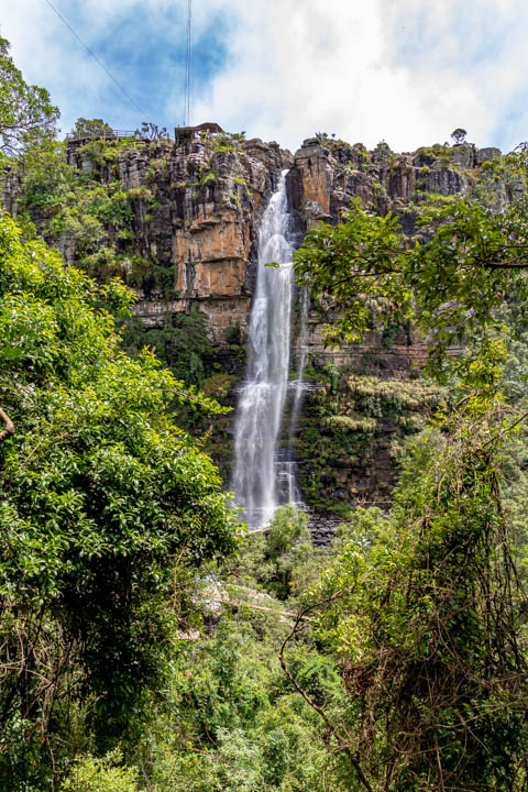 Graskop Gorge Lift Company - The Forest