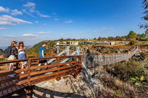 Graskop Gorge Lift Company - Suspension Bridge