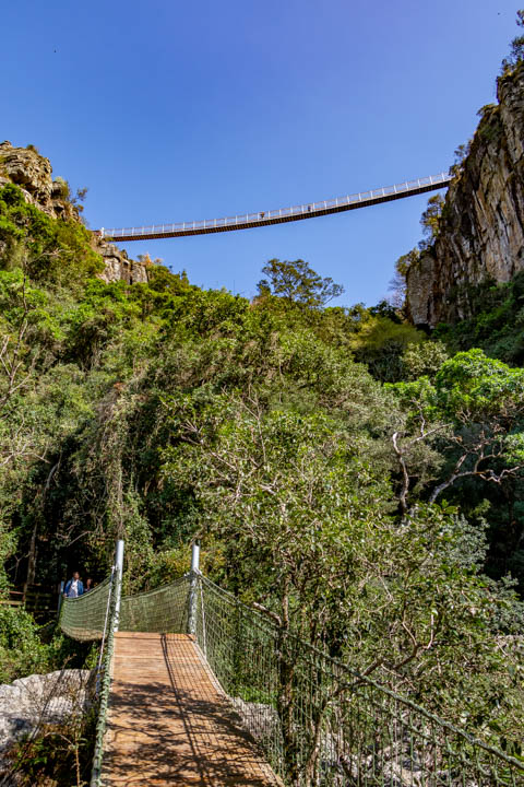 Graskop Gorge Lift Company - Suspension Bridge