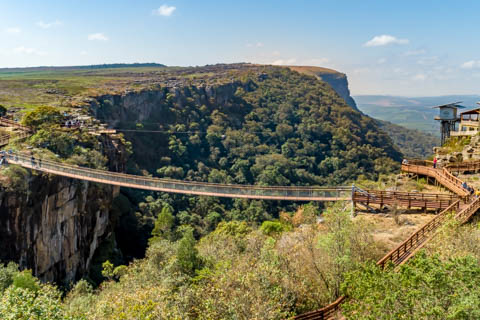 Graskop Gorge Lift Company - Suspension Bridge