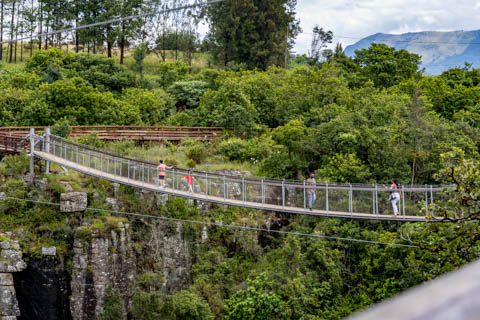 Graskop Gorge Lift Company - Suspension Bridge